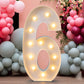 LIGHT UP NUMBER 4FT